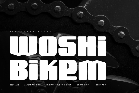 Woshi Bikem Font for Business Branding